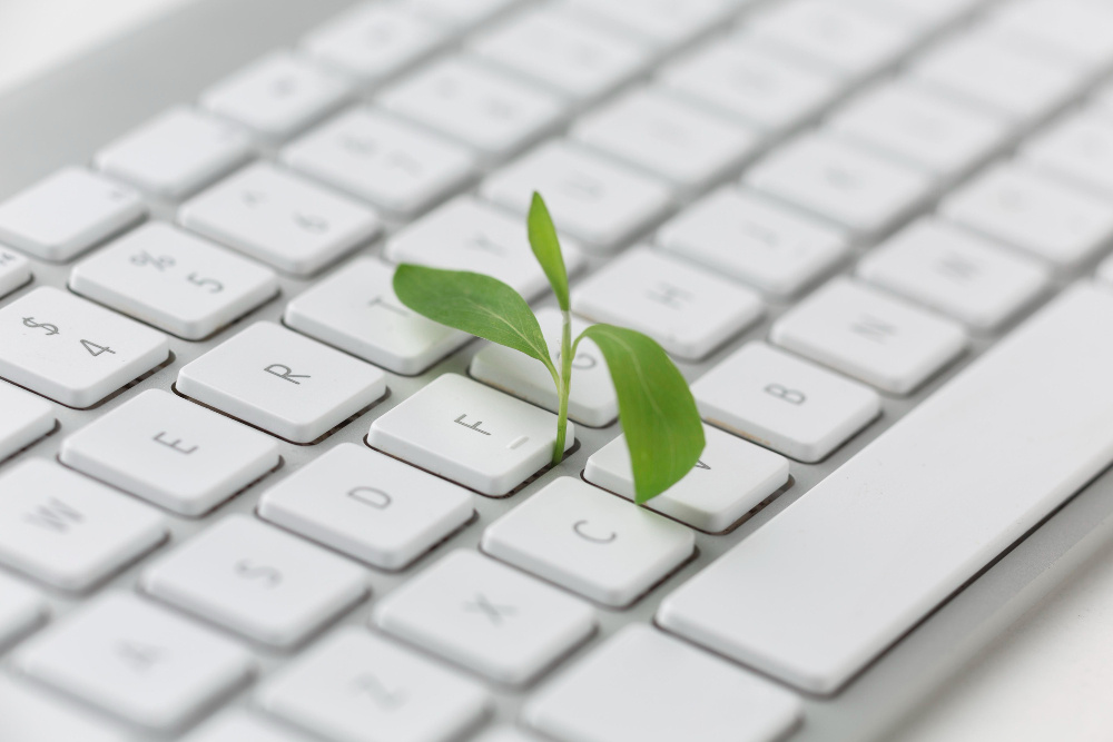 plant growing in the keyboard